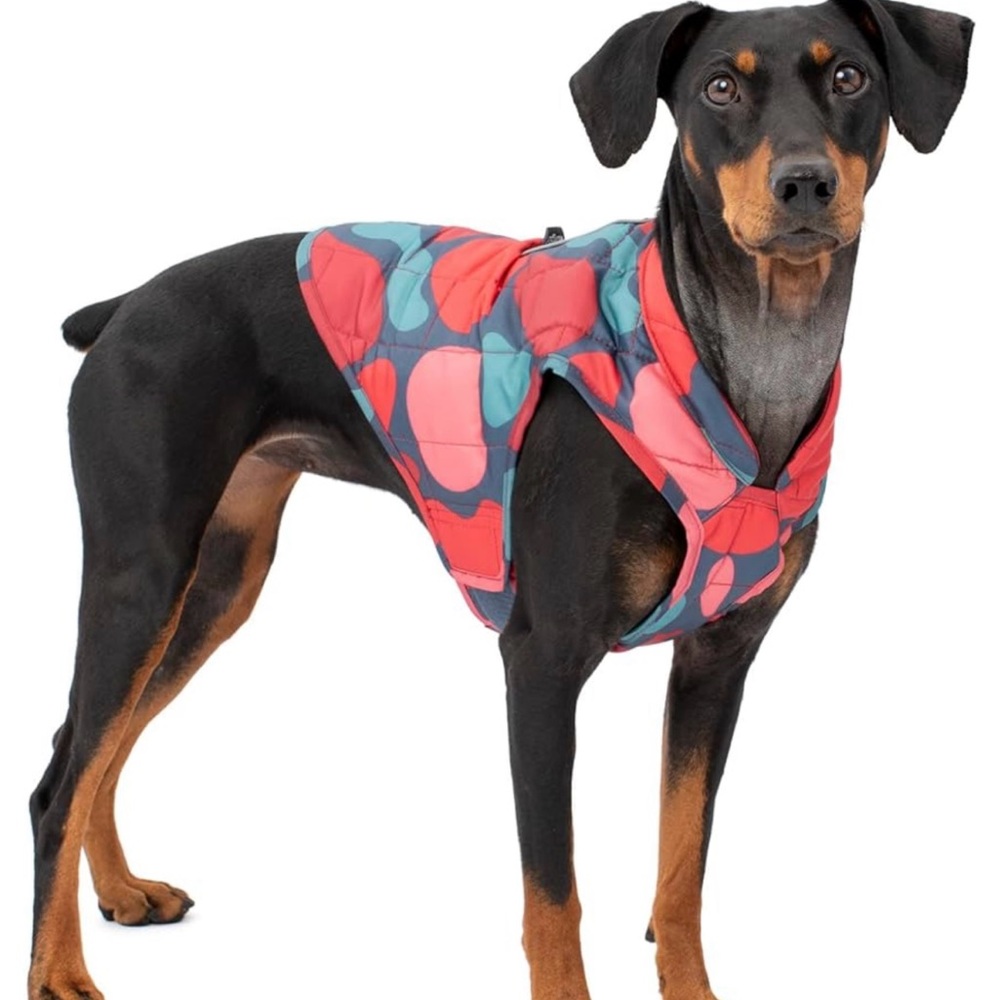 NWT Stylish Red and Blue Dog Vest